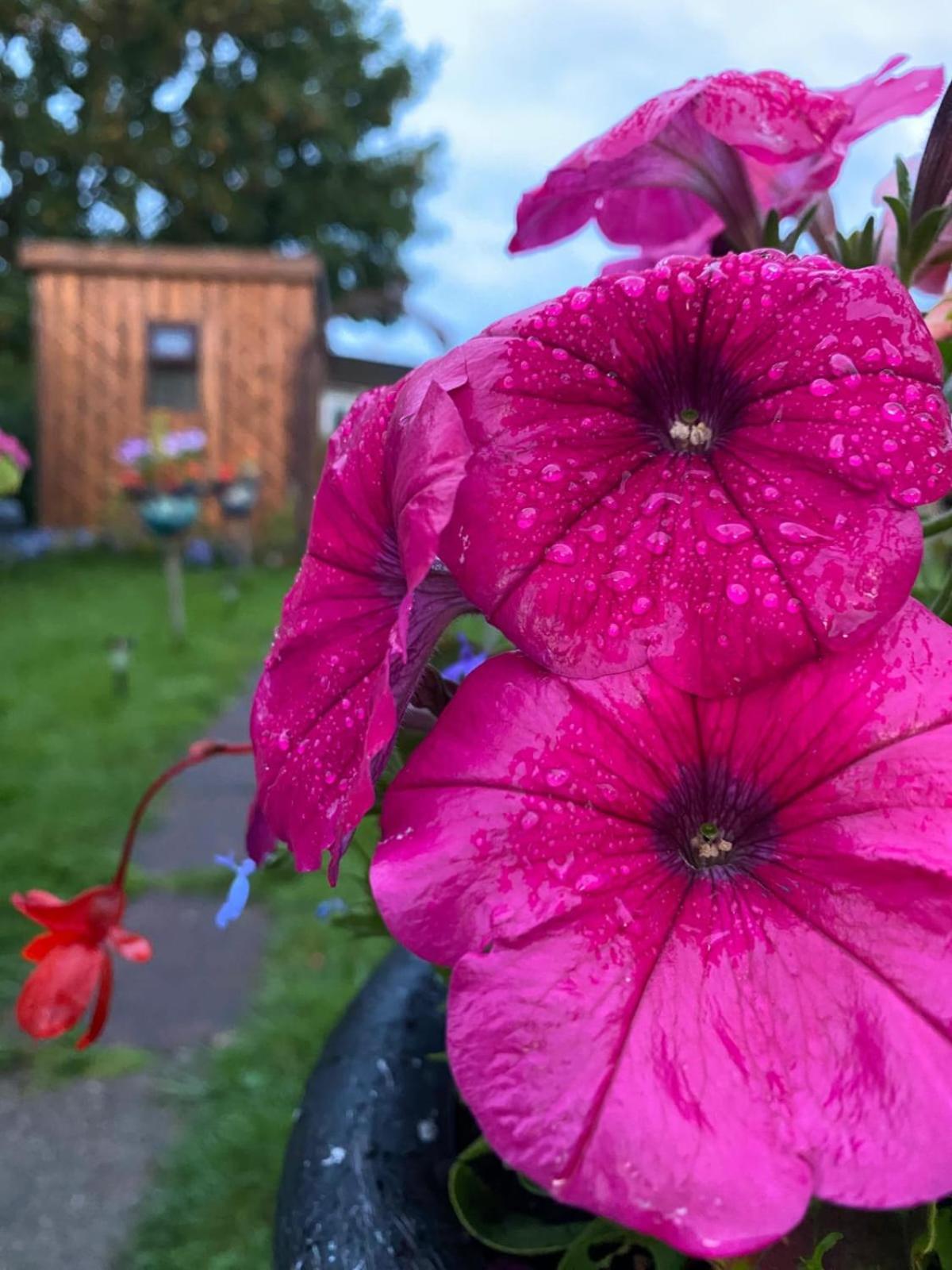 Birds And The Bees Summer House Endon Exterior foto